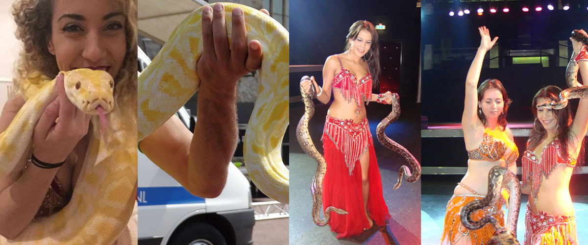Mannelijke dansers met slangen